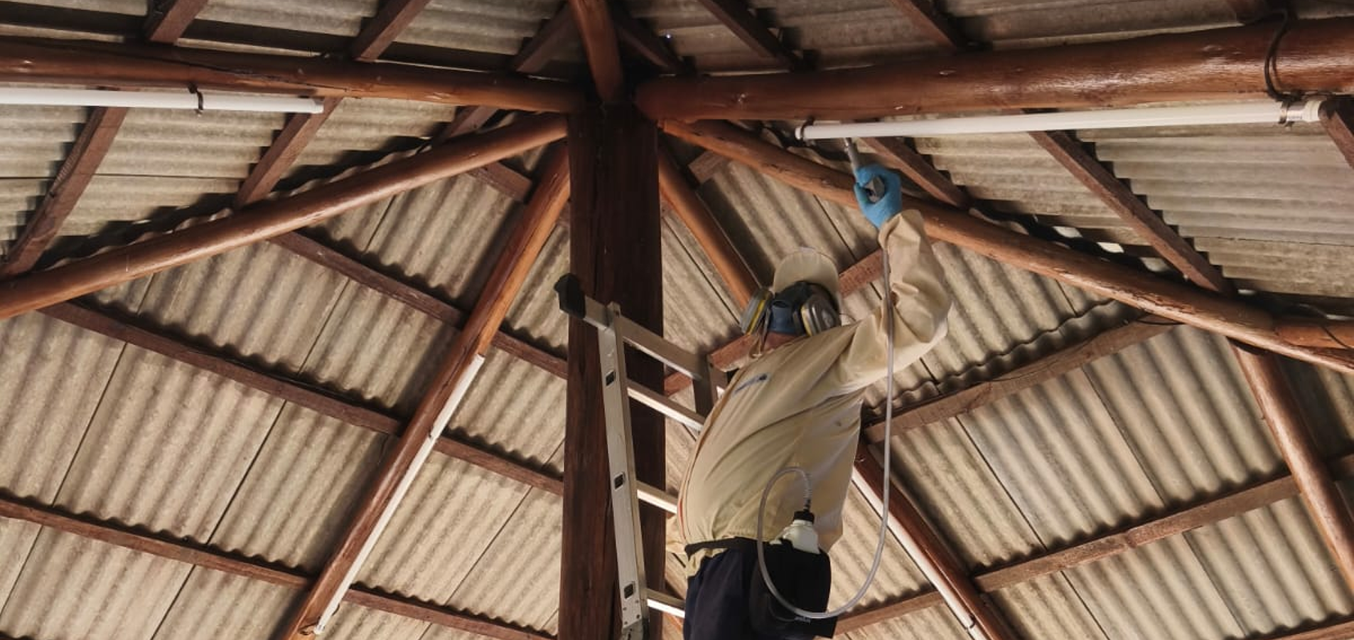 Dynamic Content Image